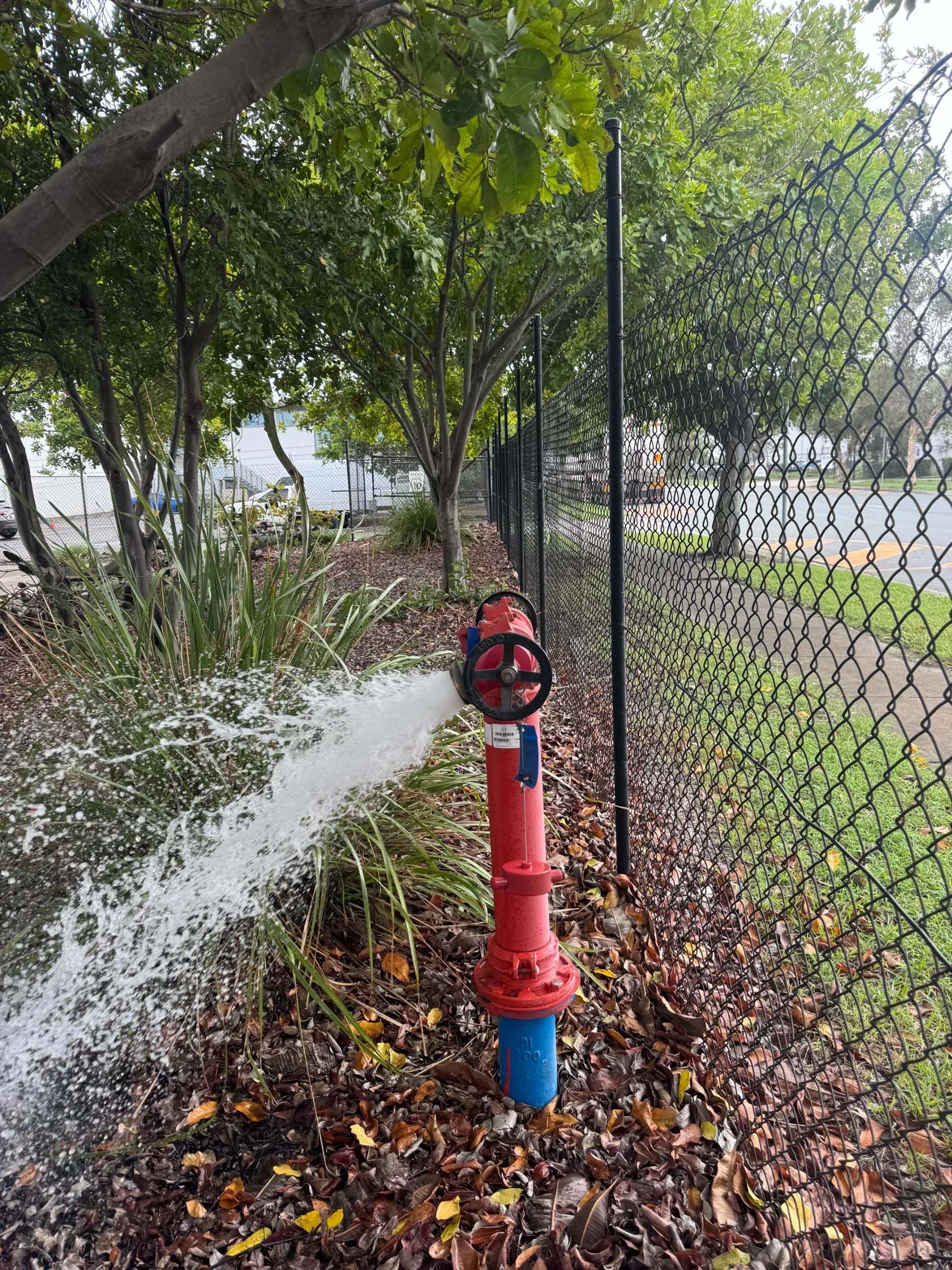 A red fire hydrant sprays water onto green vegetation in front of a building. — Commercial Leak Detection in Wacol, QLD
