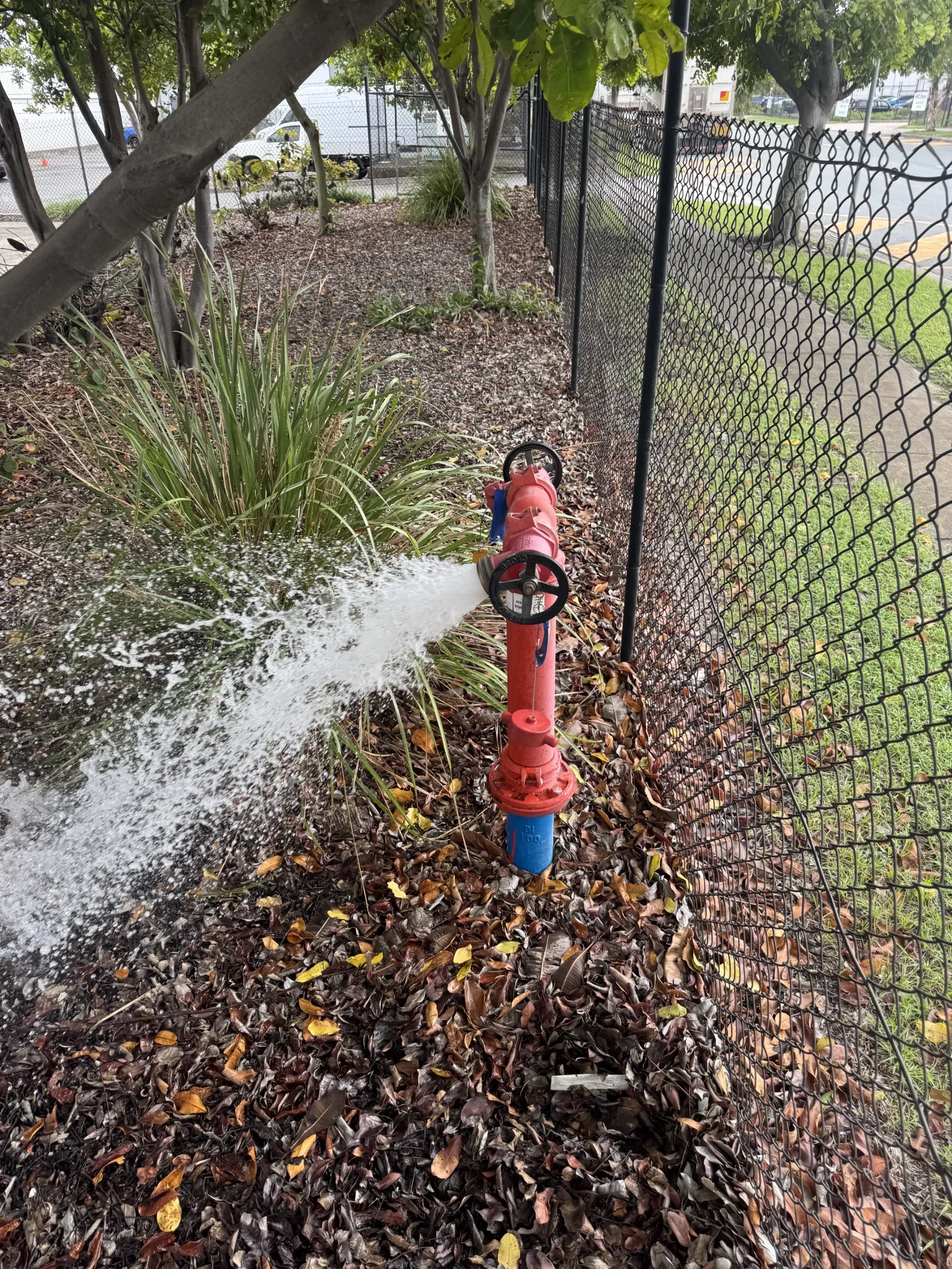 Red fire hydrant spraying water beside a chain-link fence and foliage. — Commercial Leak Detection