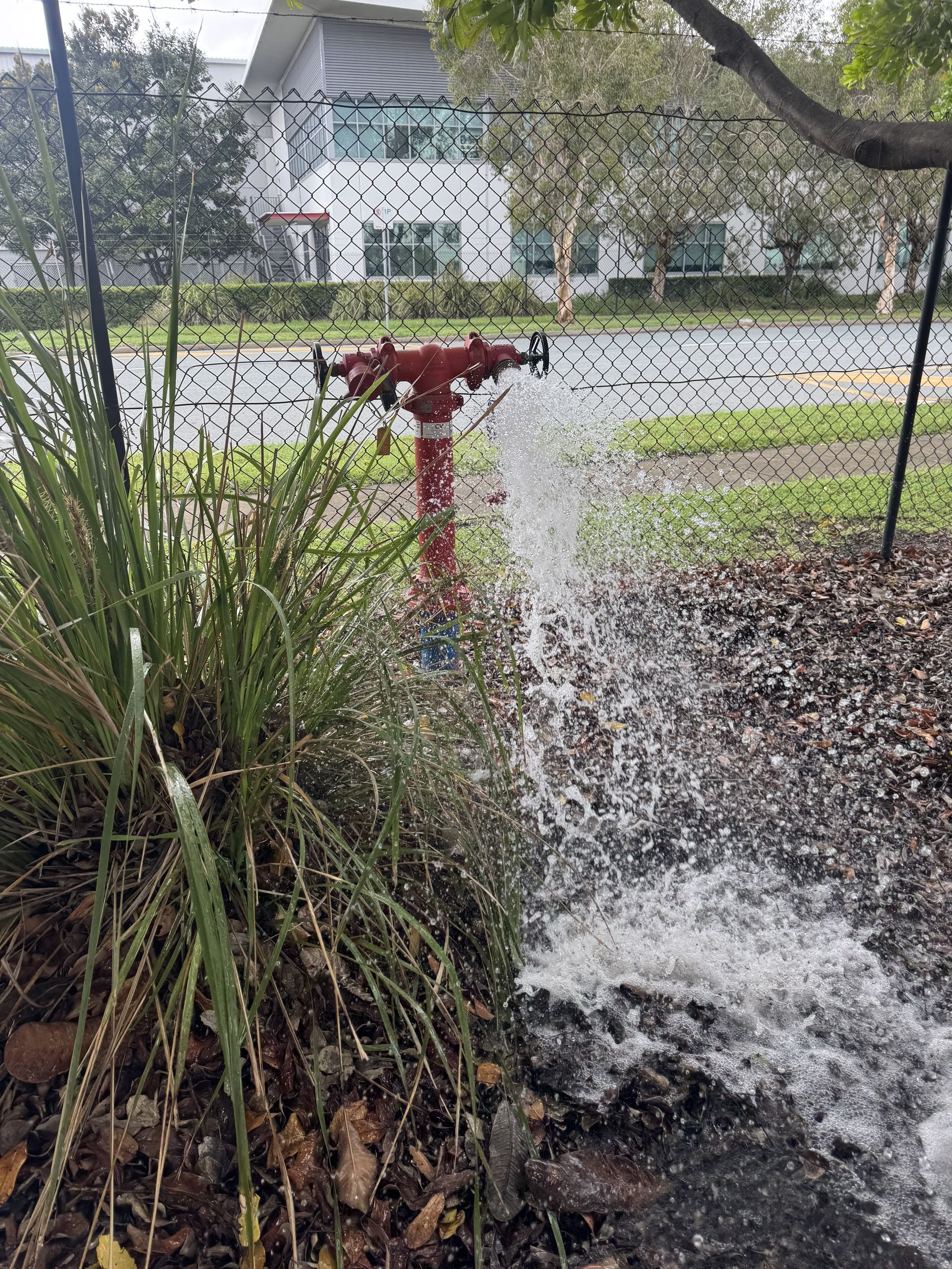 Fire hydrant spurting water onto mulch and plants outdoors. — Commercial Leak Detection