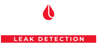 Leak Detection in Mudgeeraba Leak Detection in Mudgeeraba