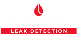 Leak Detection in Mudgeeraba Leak Detection in Mudgeeraba