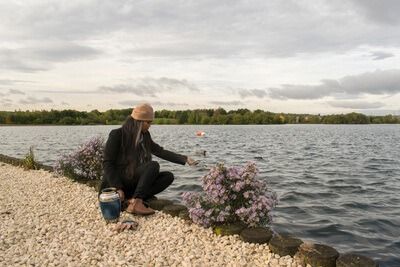 Person kneels by a rocky lakeshore, placing a potted pink flower near the water under a cloudy sky