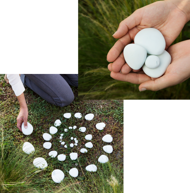Hands arranging white mushrooms in a spiral on grass, with a close-up of the collected mushrooms.