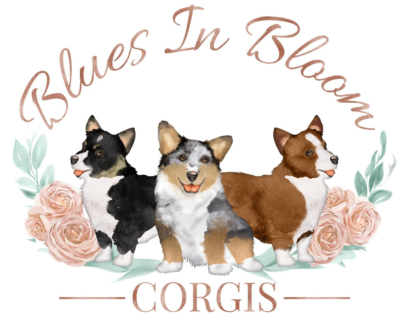 Blues in Bloom Corgis