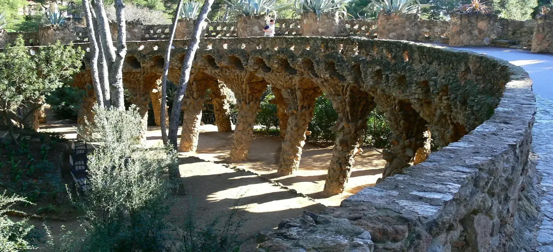 Discovering the Hidden Ecosystem of Park Güell: A Natural Marvel in Barcelona