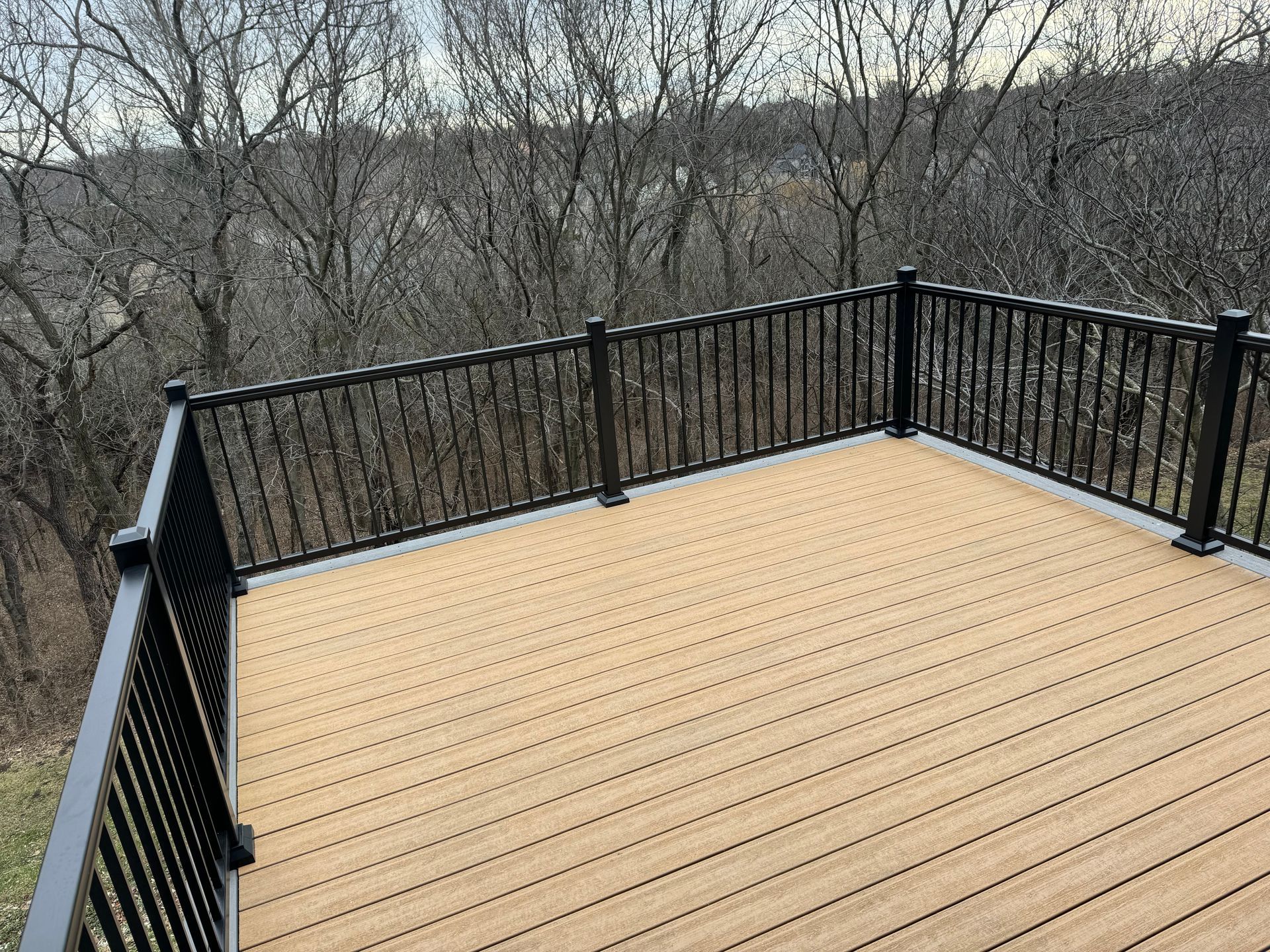 Wooden deck with black railing overlooking leafless trees