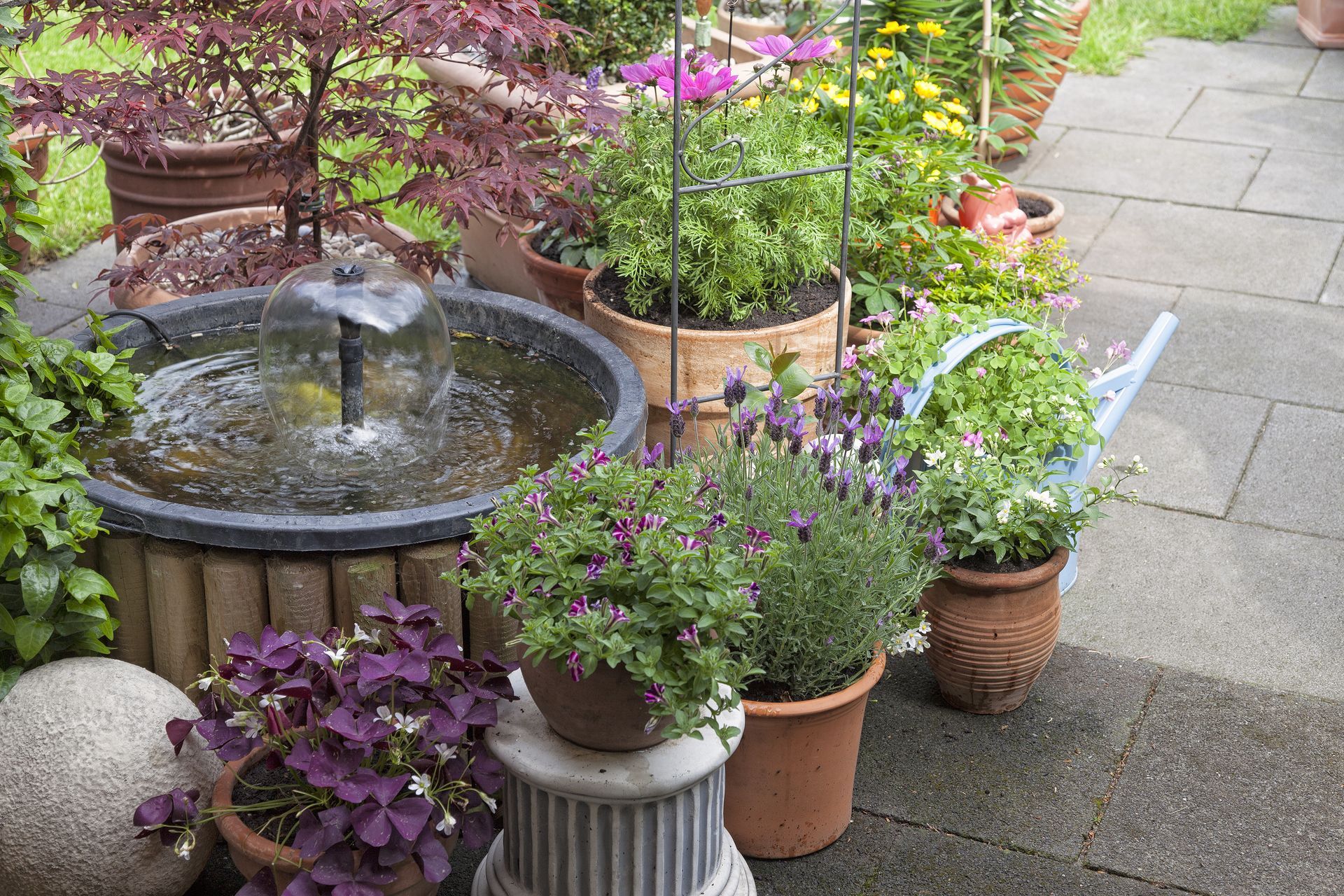 Residential Water Feature