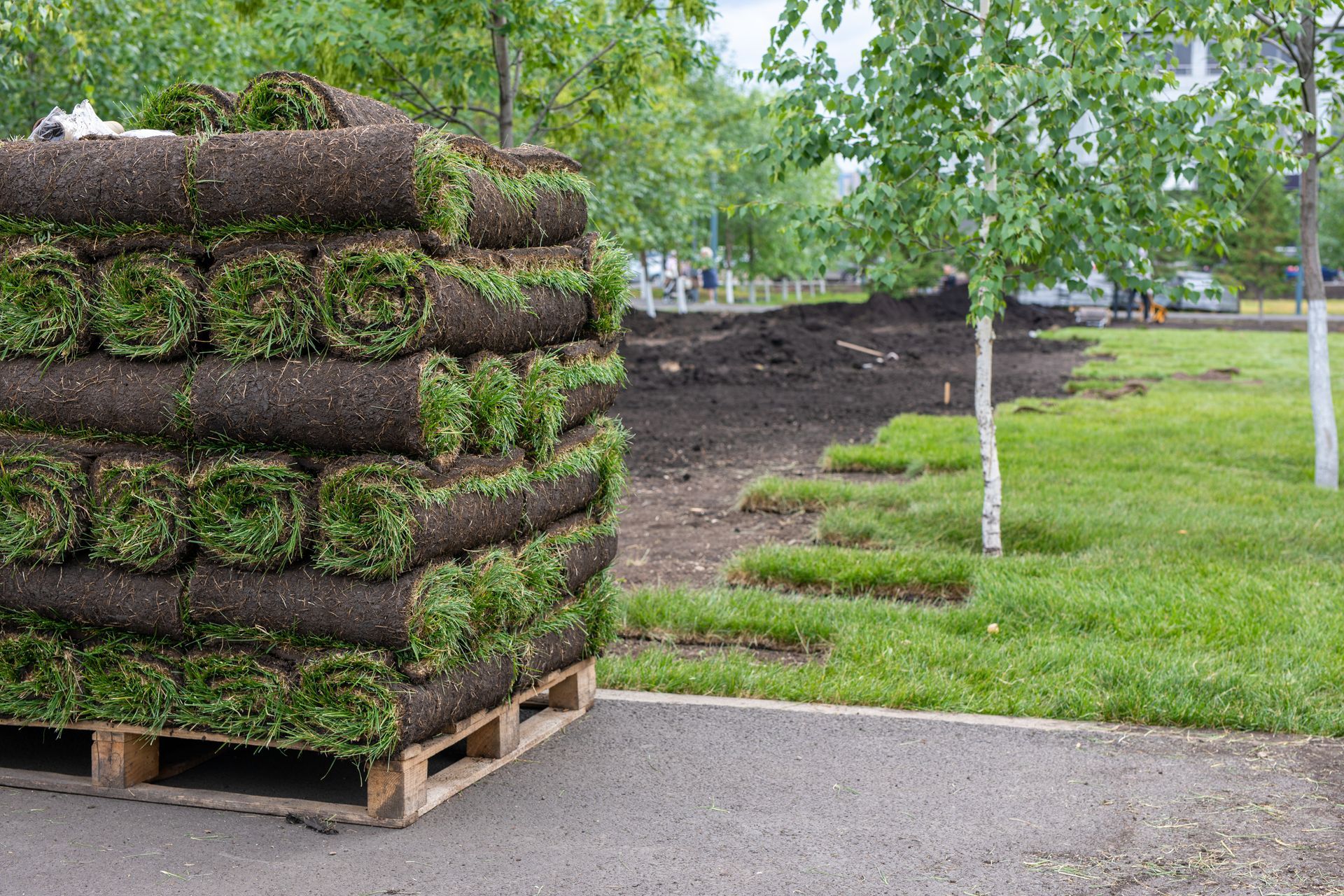 Lawn Sod Installation