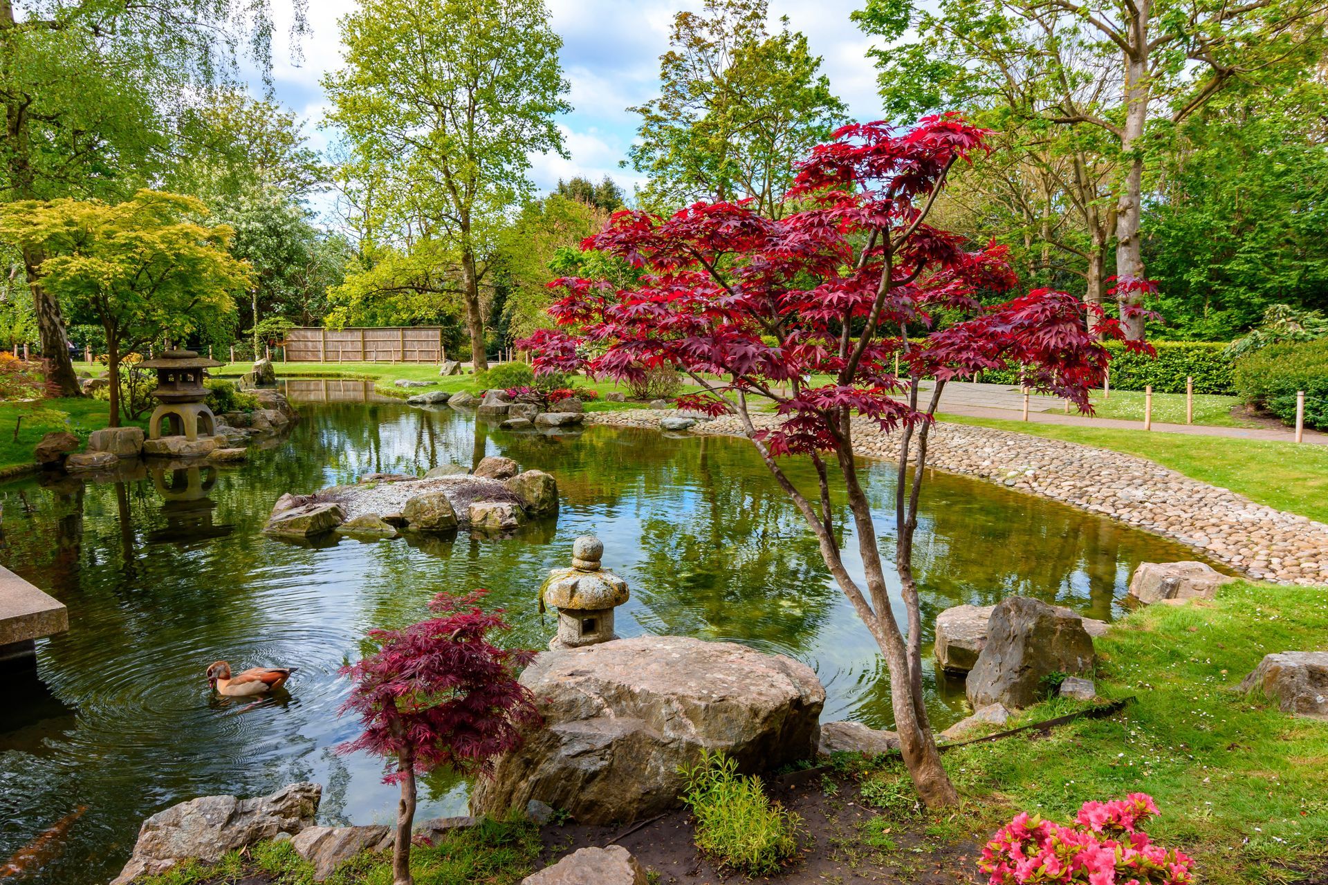 Garden Pond