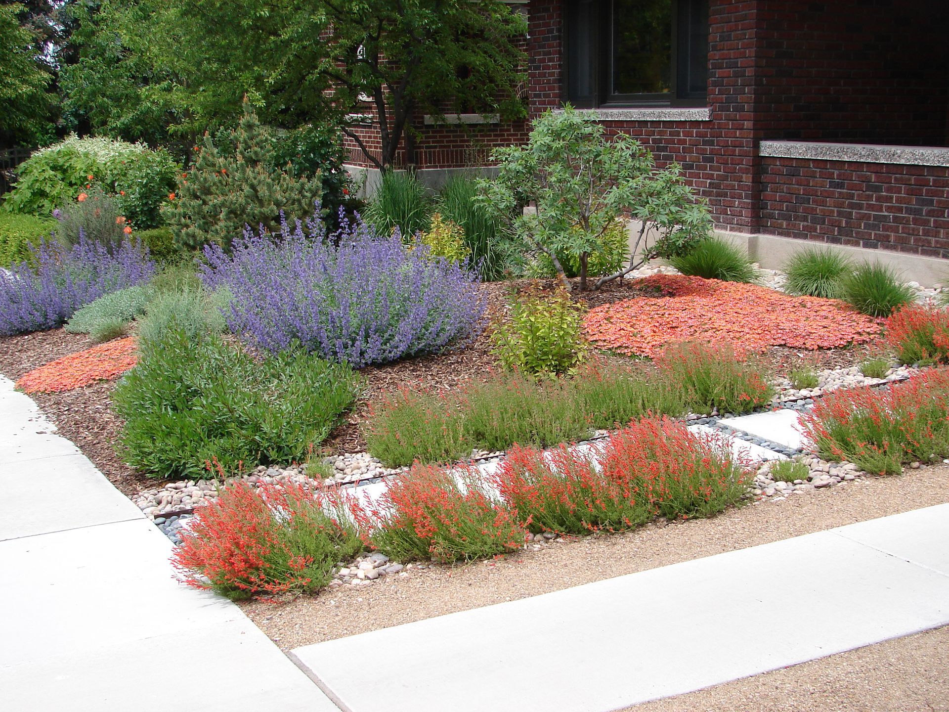 Local Xeriscaping Services