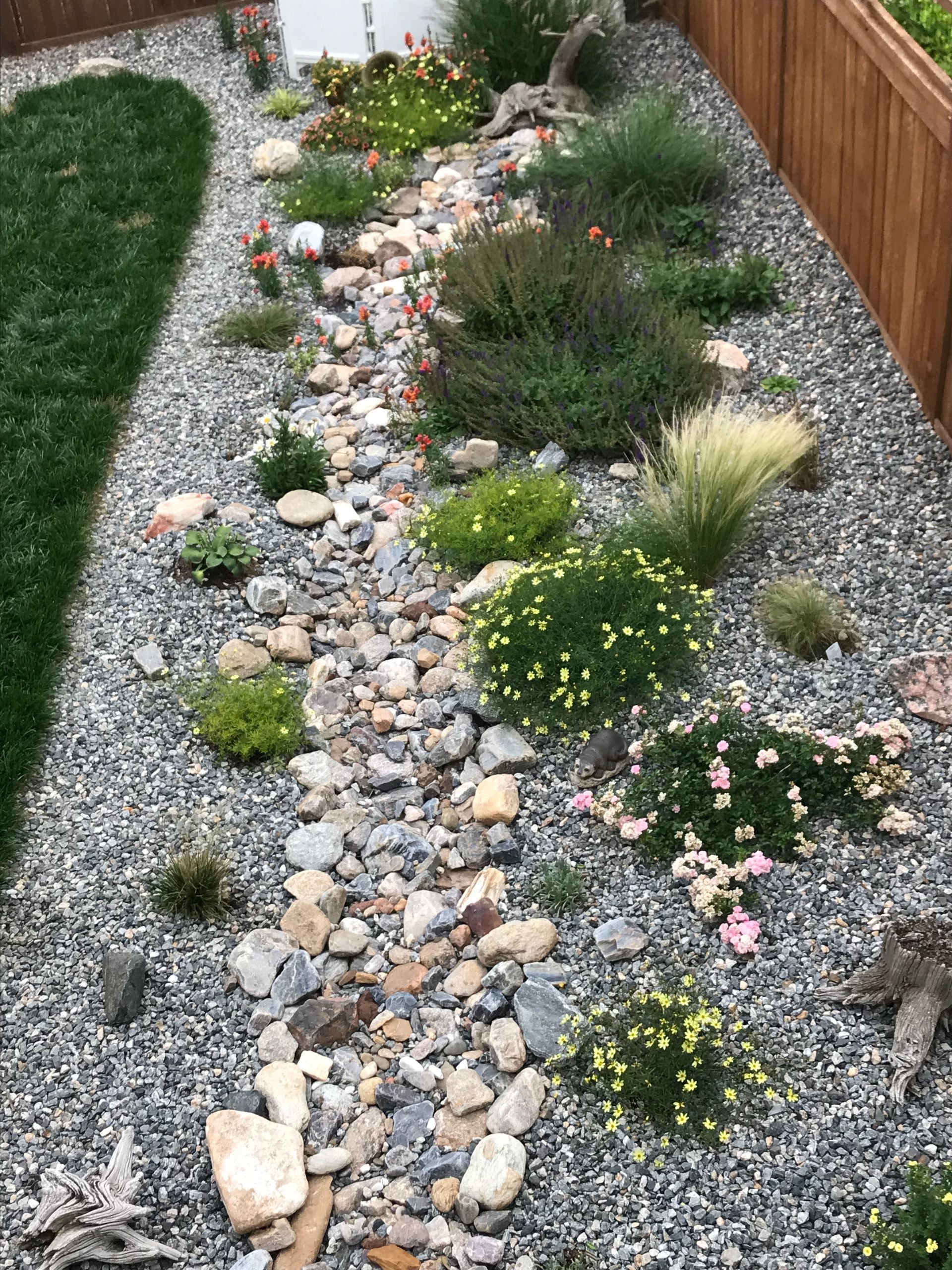 Xeriscape Landscaping