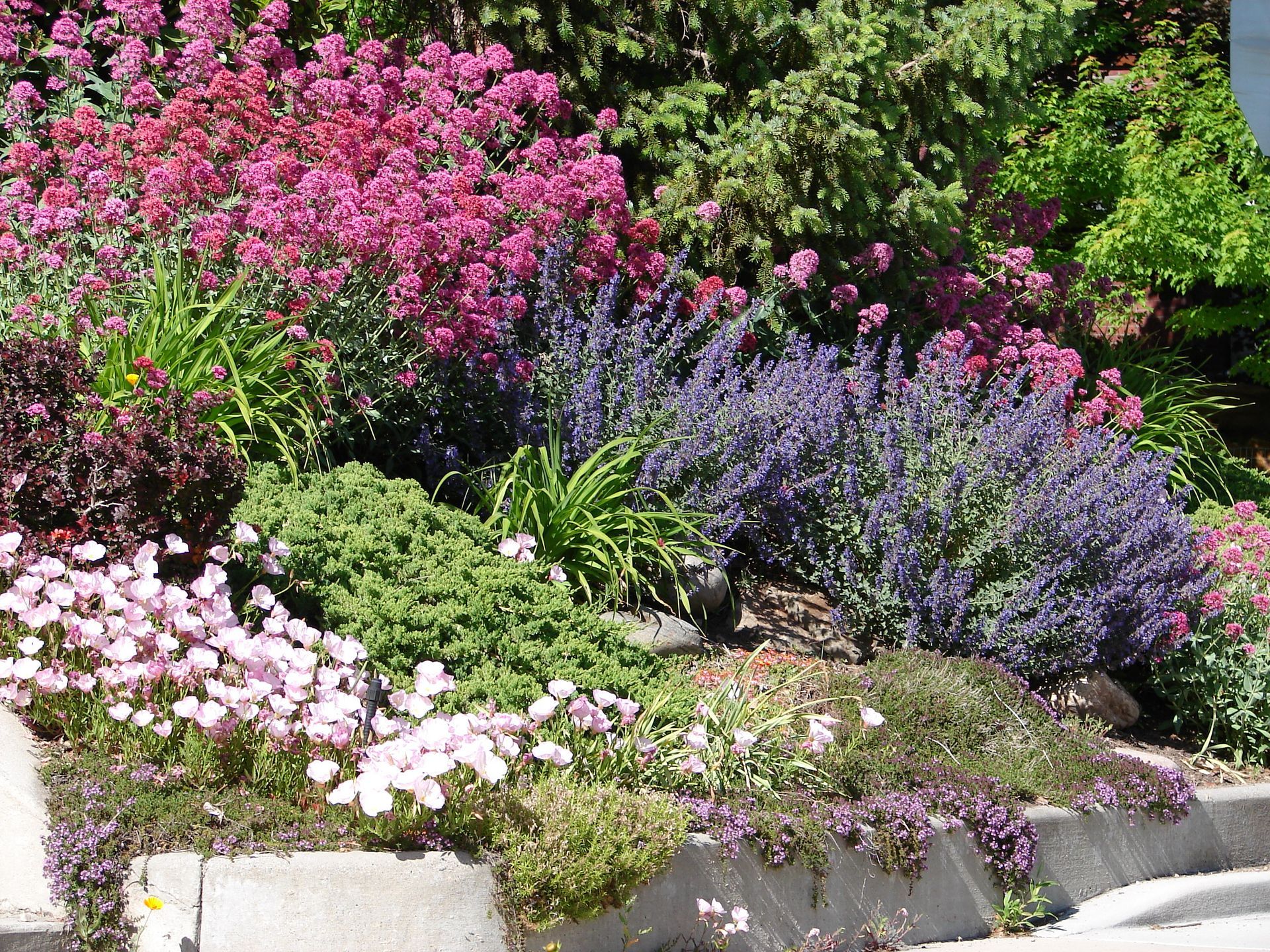 Xeriscaping Process