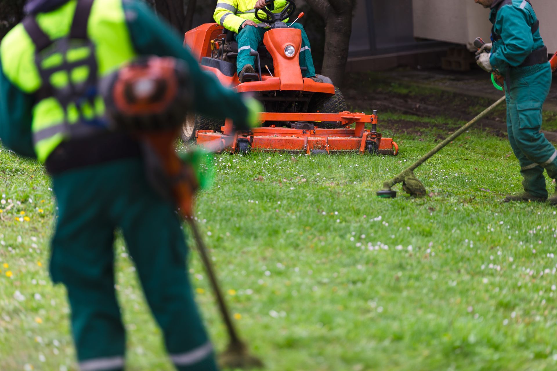 Full-Service Landscaping