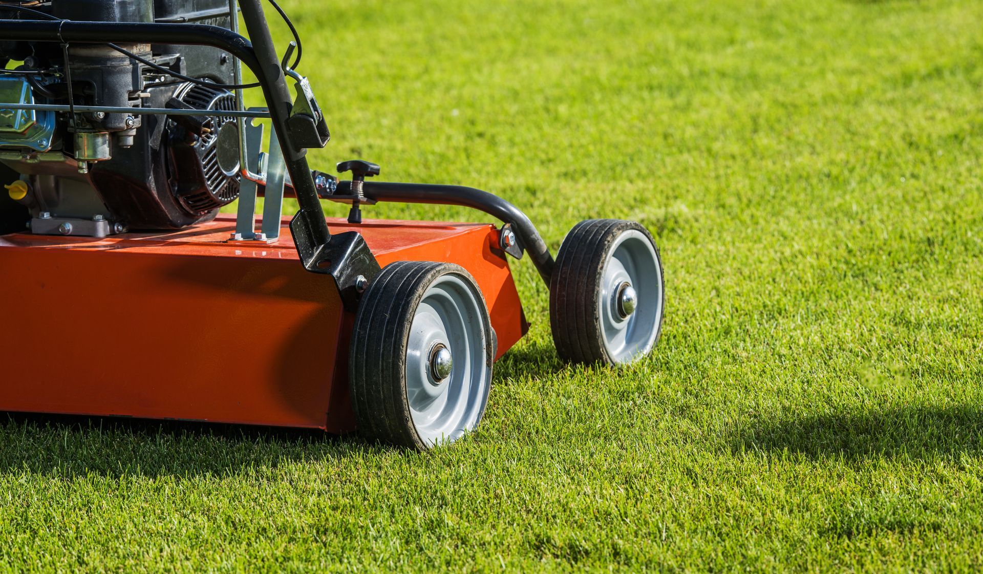 Lawn Aeration