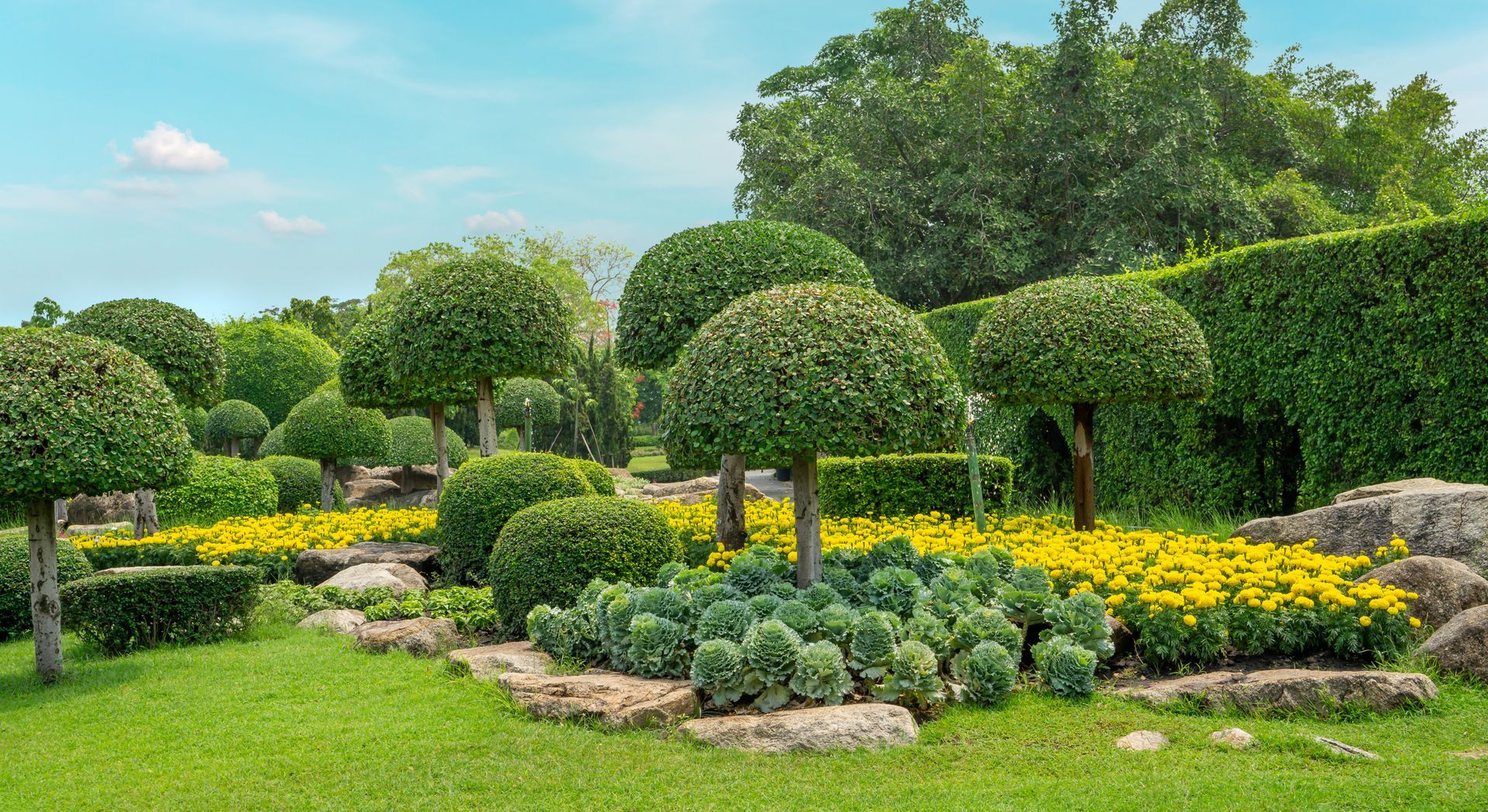 Lawn Care Company