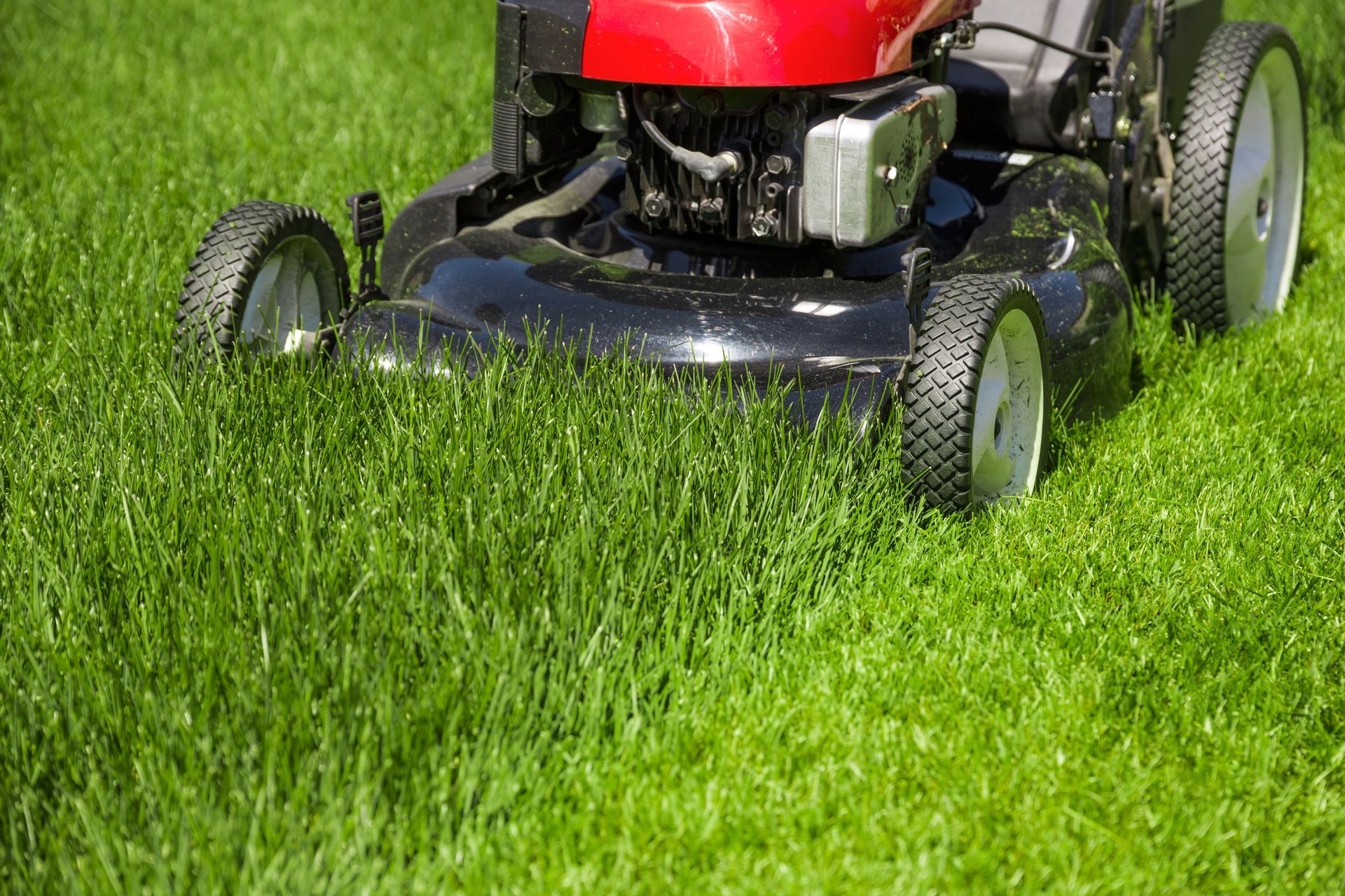 Lawn Care