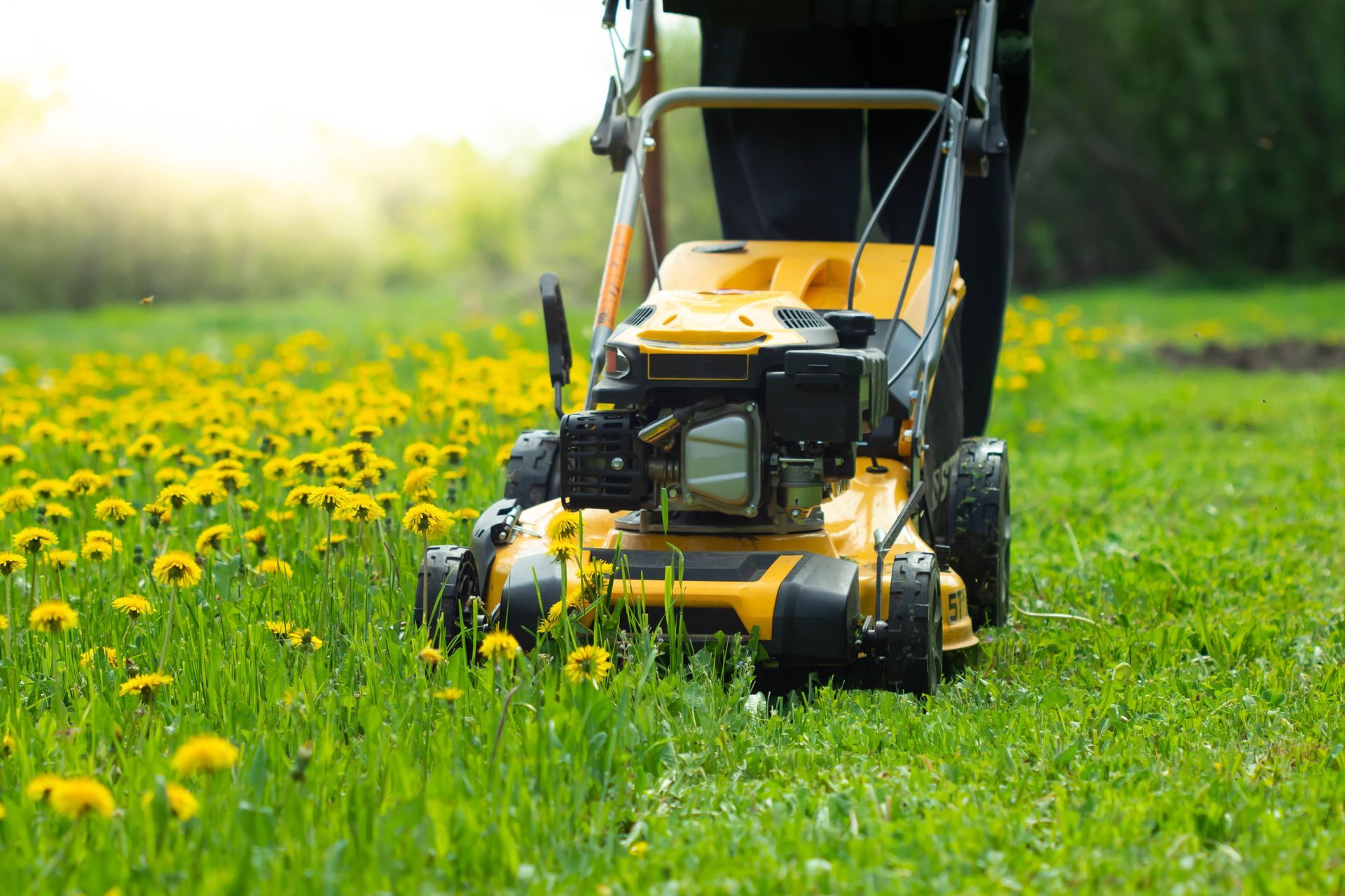 Lawn Care Services