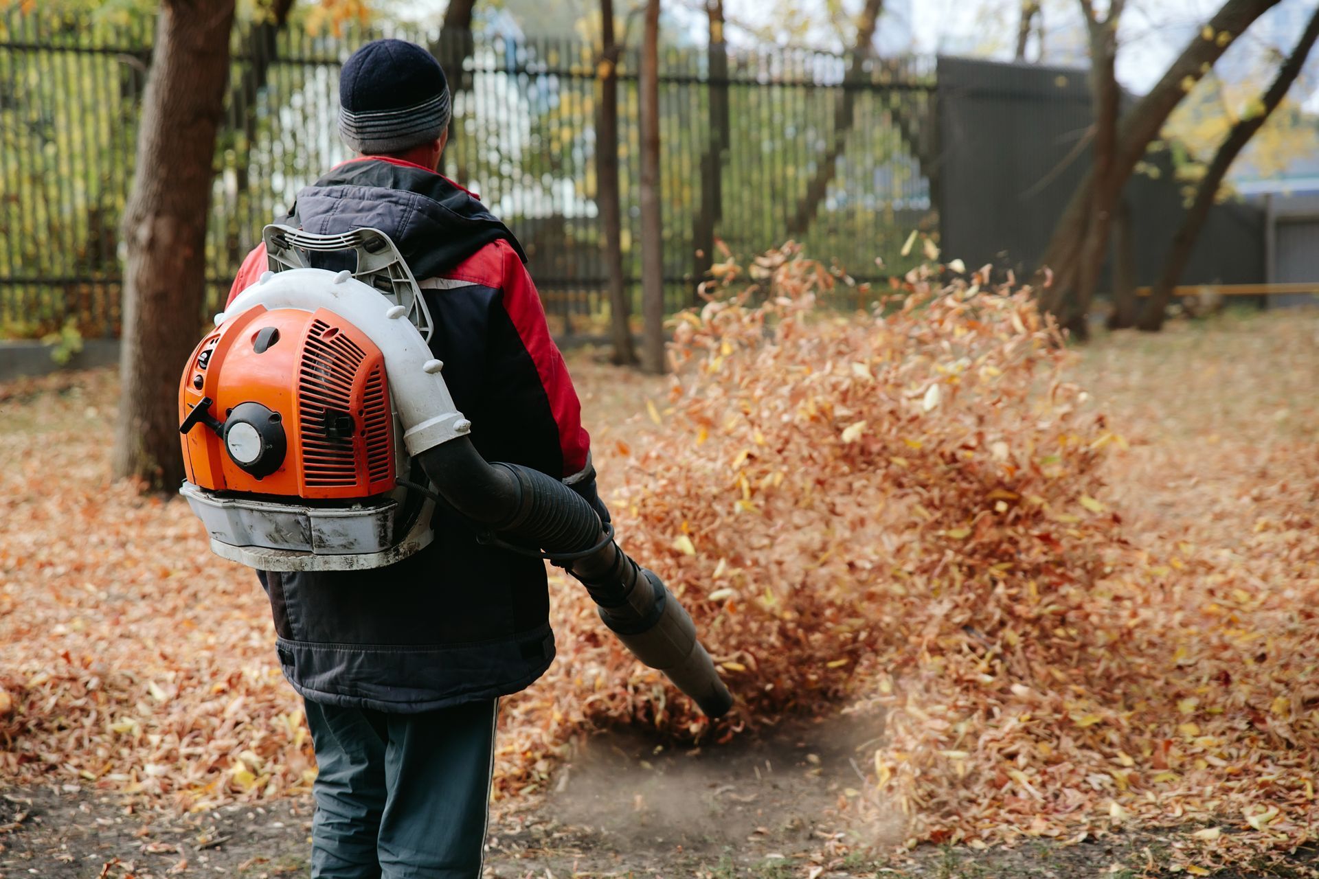 Leaf Removal