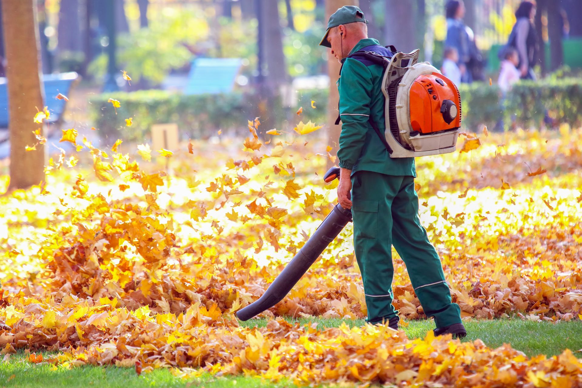 Leaf and Lawn Solutions