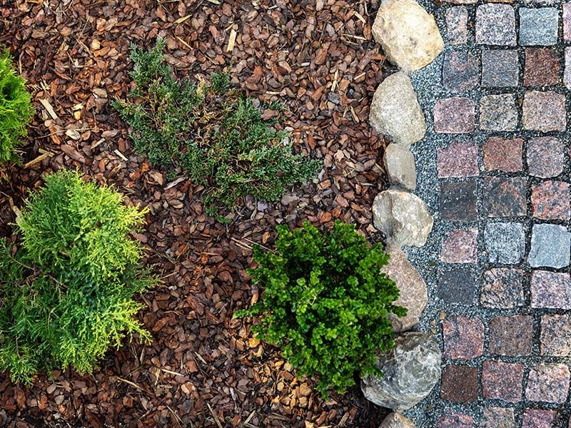 A brick walkway surrounded by rocks , mulch and plants.