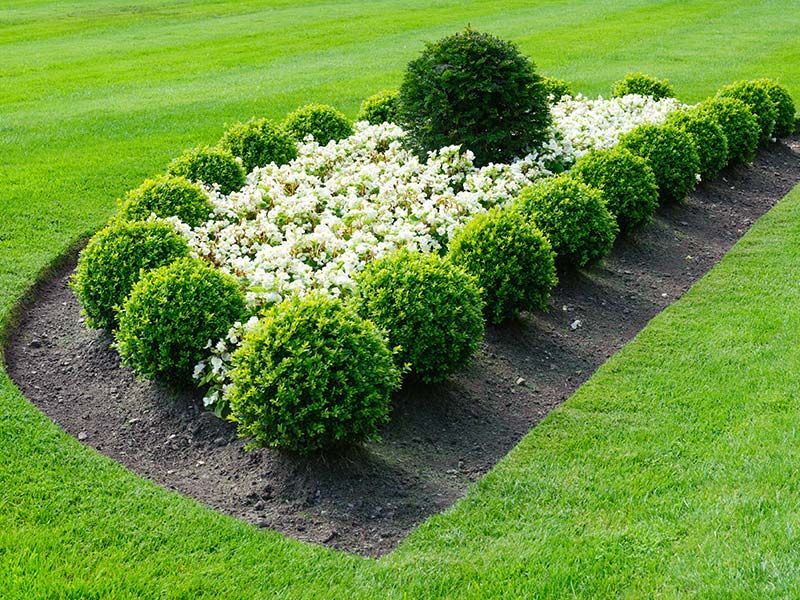 A garden with flowers and bushes in the middle of a lush green field.