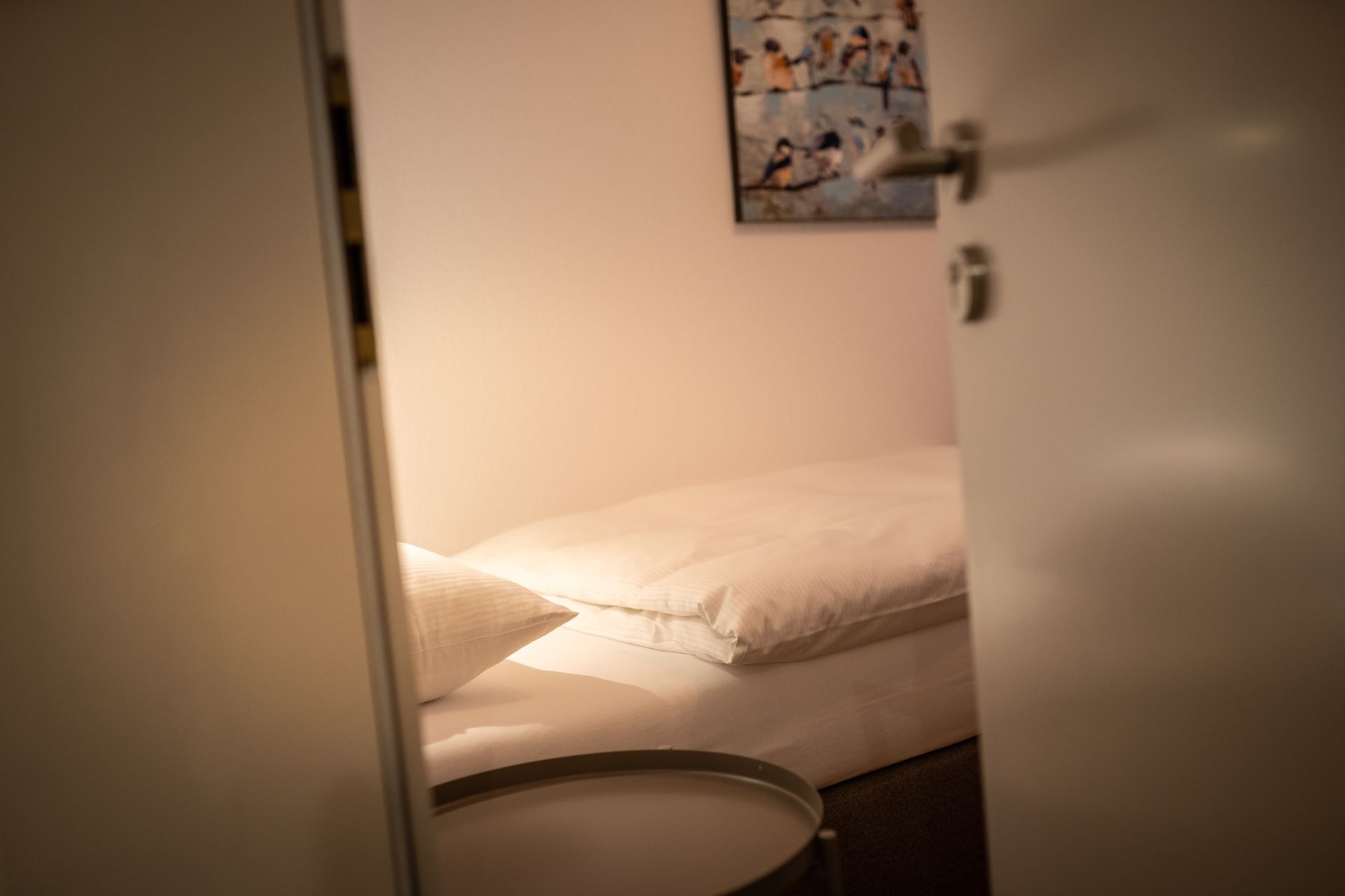 A bedroom with a single bed and a toilet.