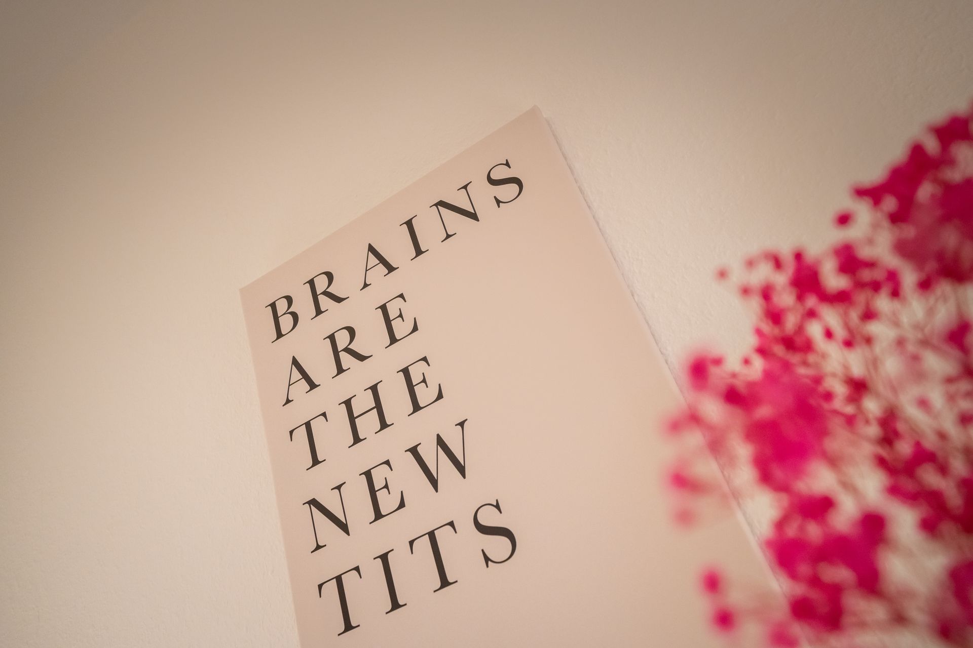 Brains are the new Tits saying wall decoration

