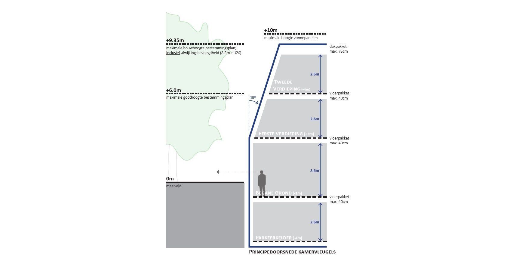 Architectonische doorsnede van een gebouw met een boom. Toont verticale afmetingen, een persoon en materiaallagen.