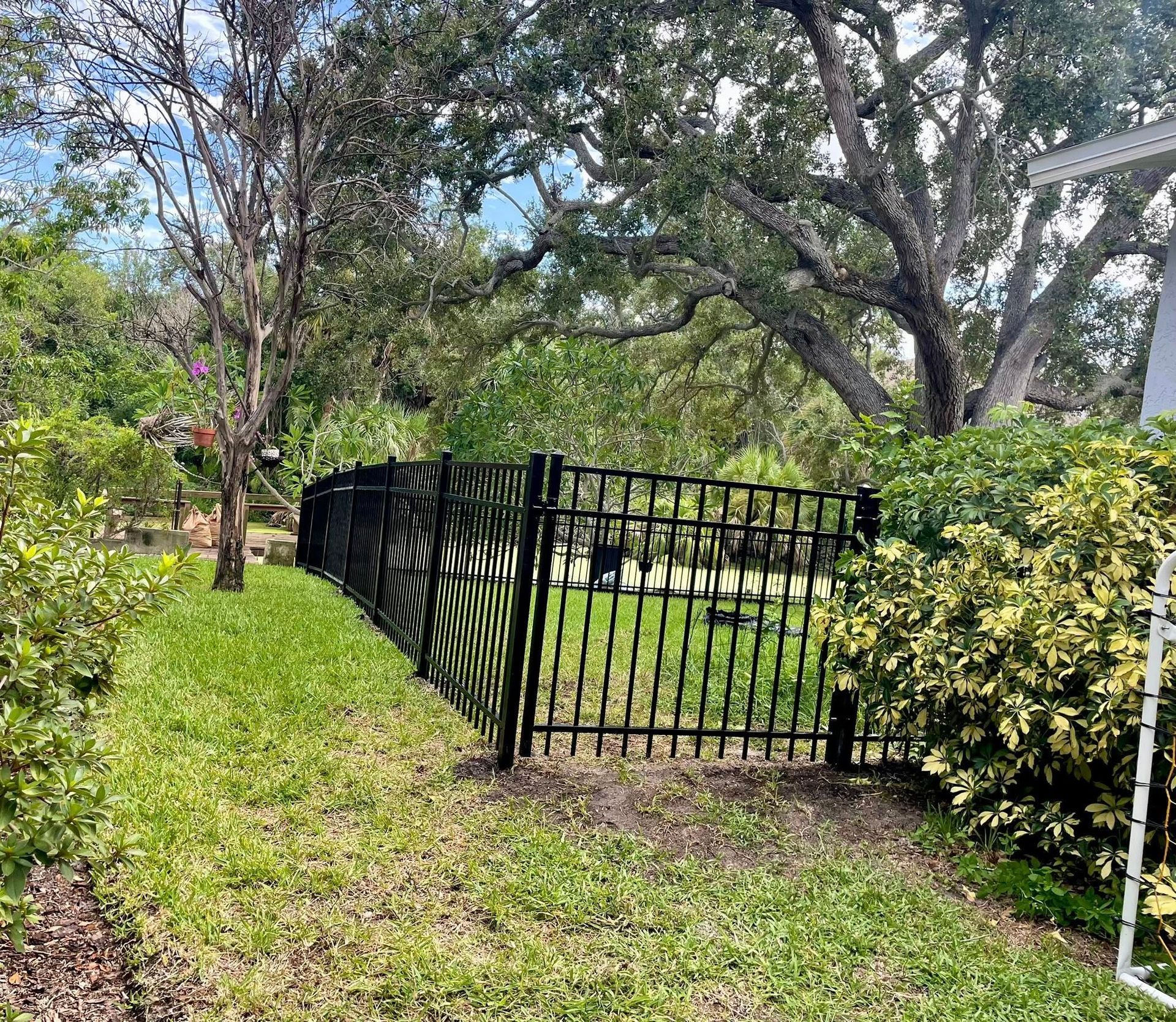 Black metal fence in a grassy yard with trees in the background.