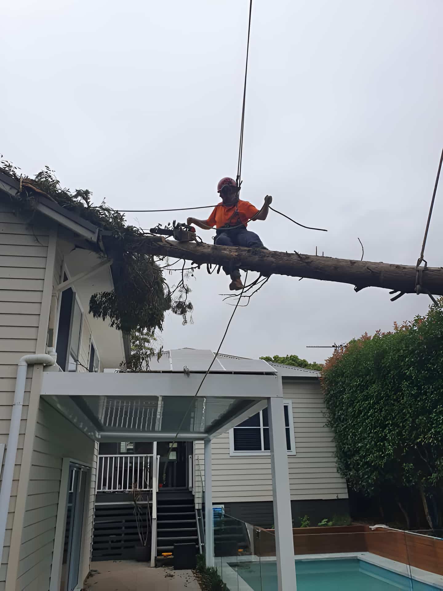 A Man Is Sitting On A Tree Branch In Front Of A House — Tom Thumbs Tree Works In Wamuran, QLD