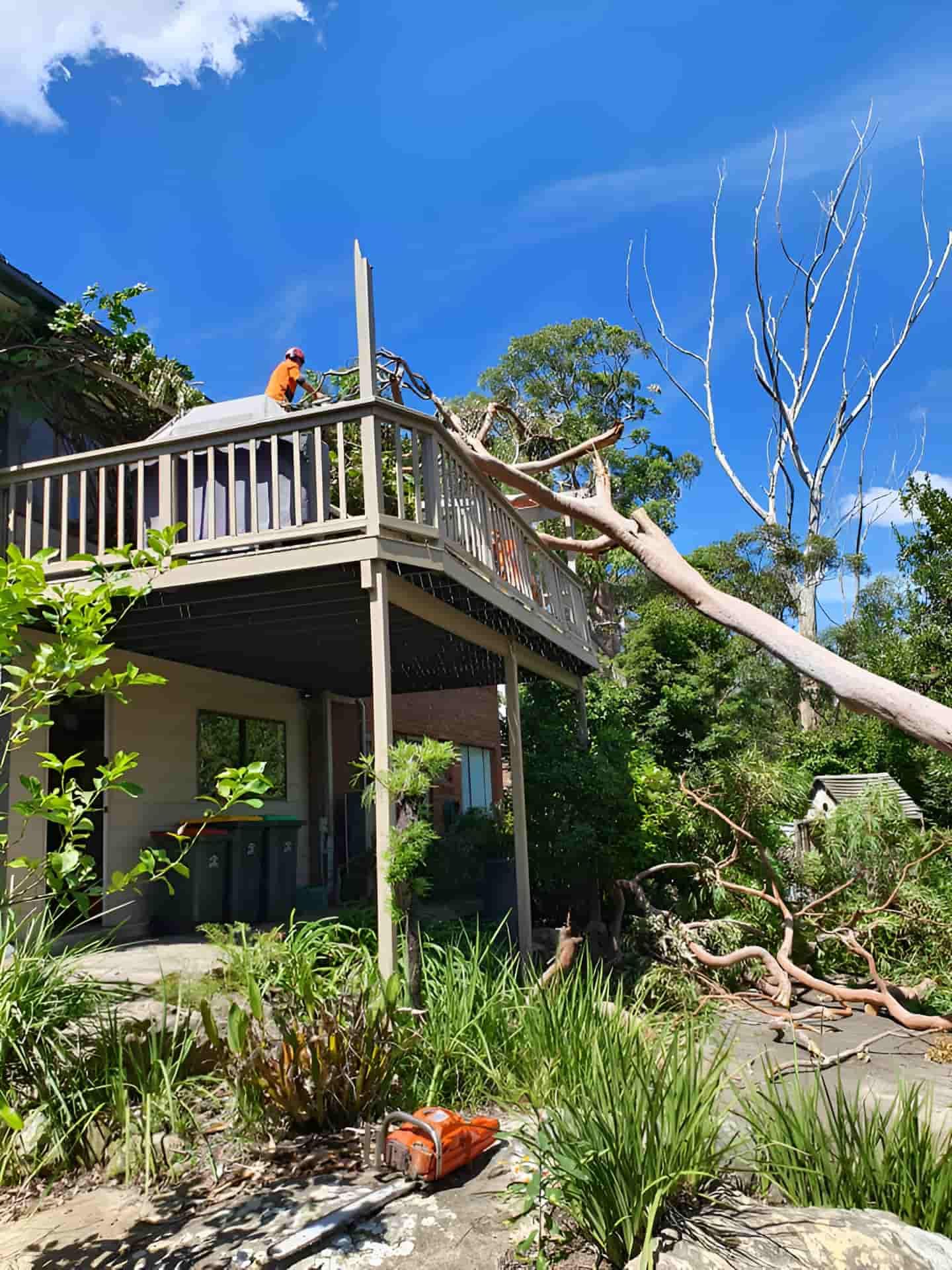 A Tree Has Fallen On The Deck Of A House — Tom Thumbs Tree Works In Delaneys Creek, QLD