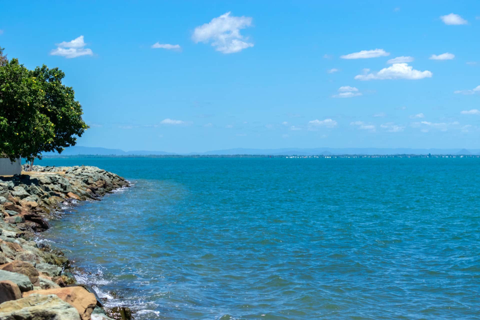 There Is A Tree On The Shore Of The Ocean — Tom Thumbs Tree Works In Deception Bay, QLD