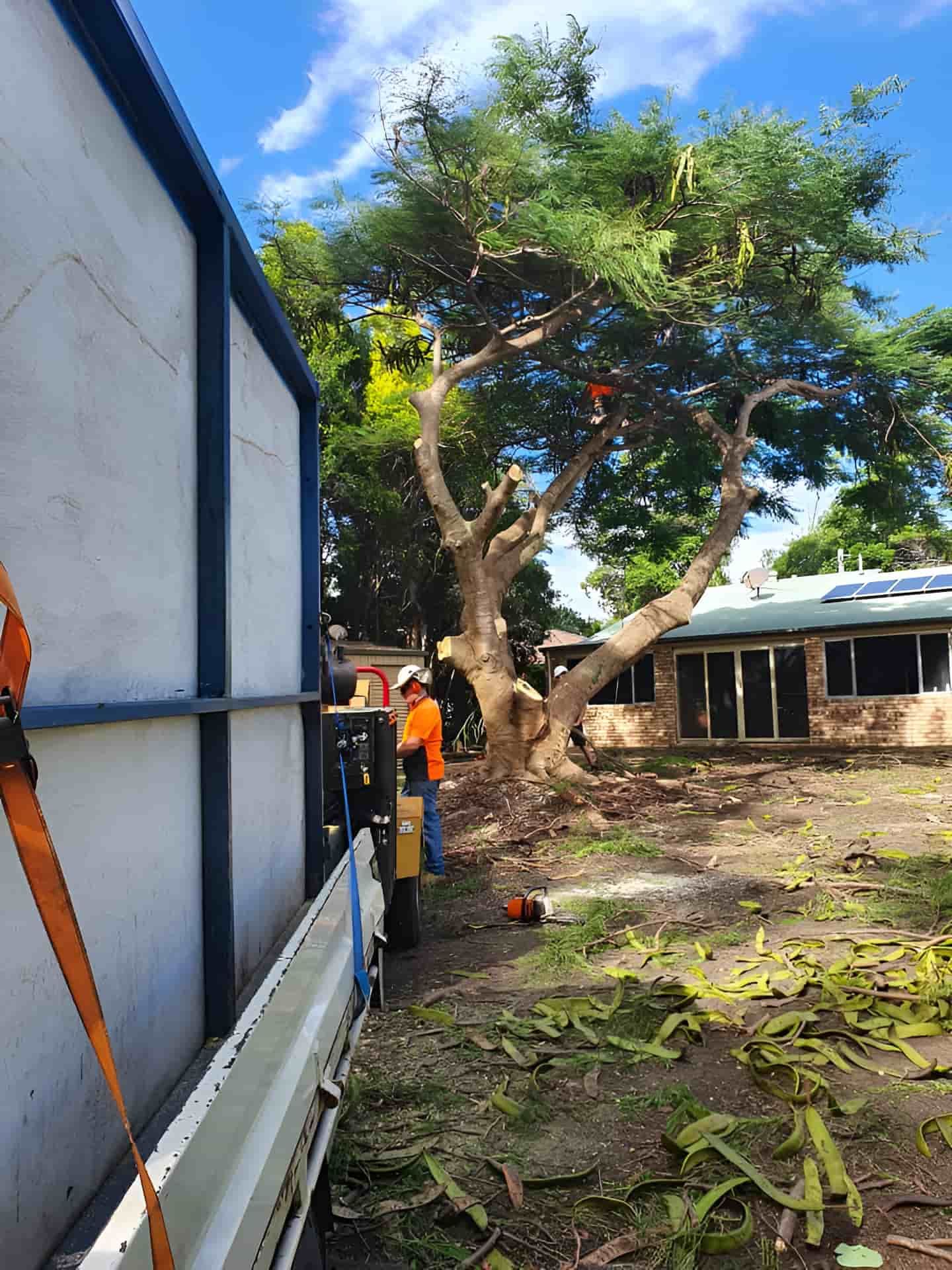 A Man Is Cutting Down A Tree In Front Of A House — Tom Thumbs Tree Works In Delaneys Creek, QLD