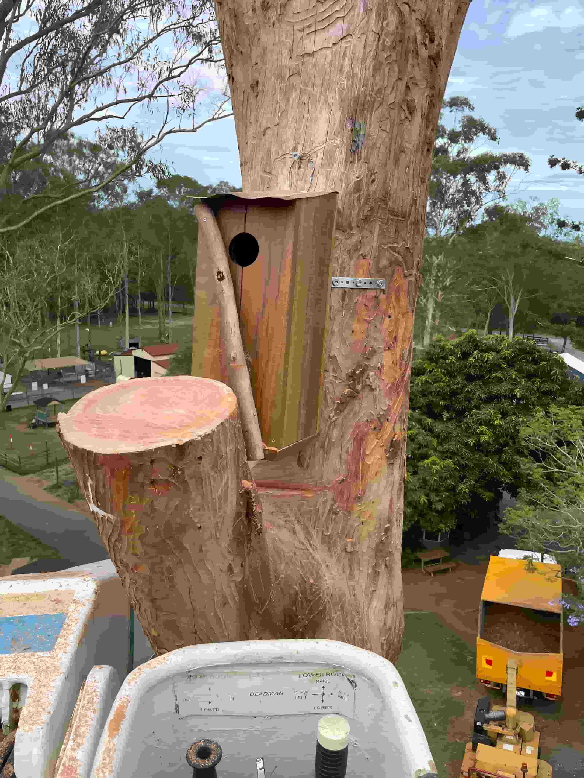 A Tree Stump Is Being Removed From A Tree By A Crane — Tom Thumbs Tree Works In Wamuran, QLD