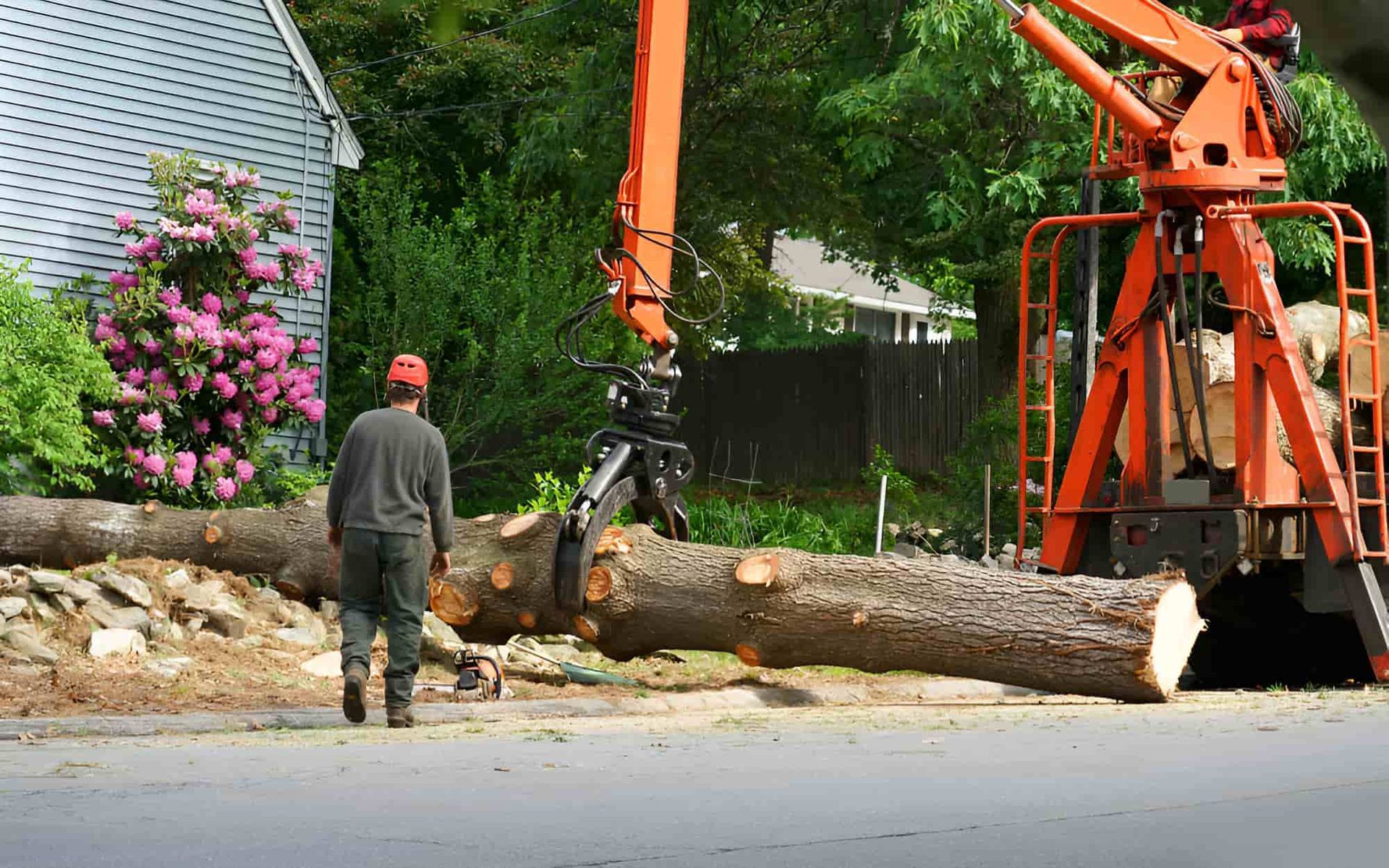 A Man Is Standing Next To A Large Log Being Lifted By A Crane — Tom Thumbs Tree Works In Wamuran, QLD