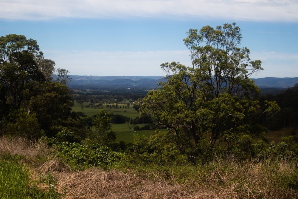 A View Of A Lush Green Field With Trees In The Foreground — Tom Thumbs Tree Works In Woodford, QLD