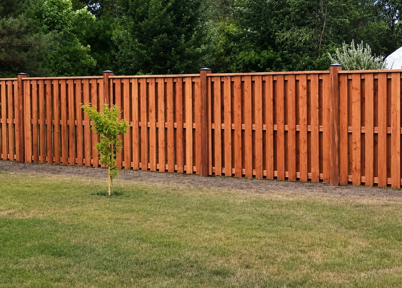 Orange wooden fence along a grassy yard with a small tree in front