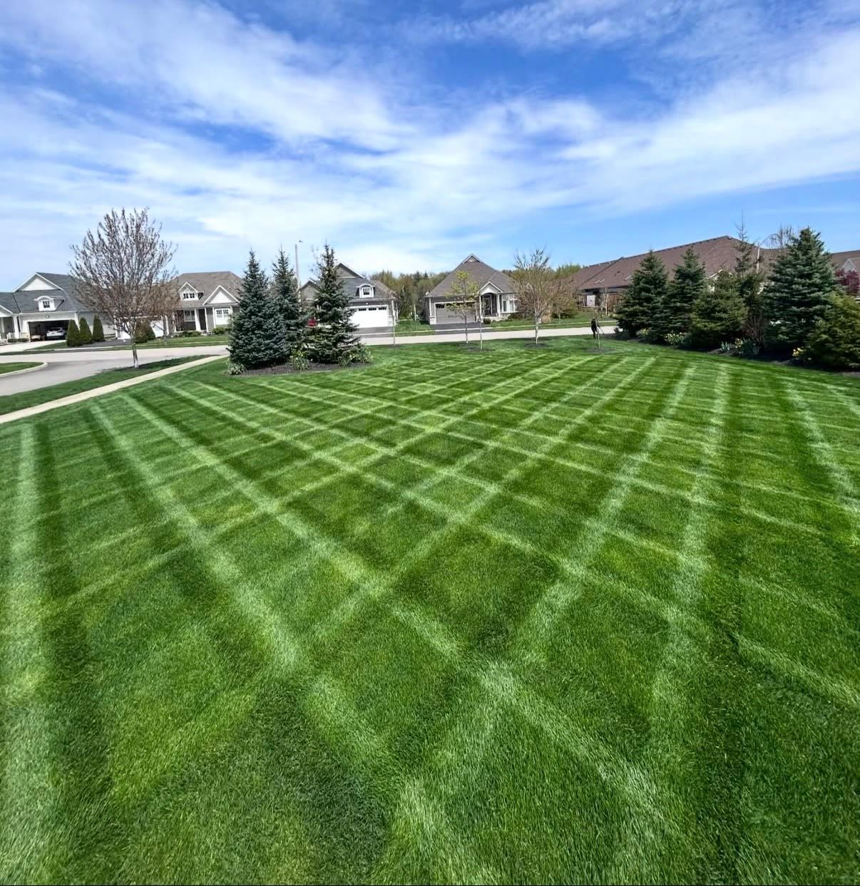 Freshly mowed suburban lawn with diagonal stripes under a blue sky