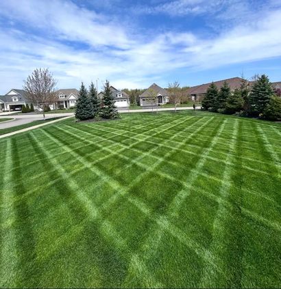 Freshly mowed suburban lawn with diagonal stripes under a blue sky
