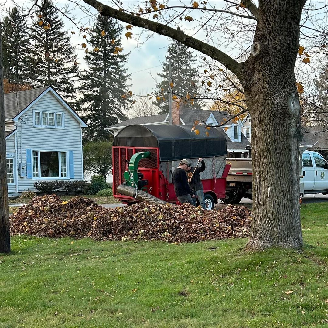 Workers using a leaf vacuum on a large pile of leaves in a suburban yard beside houses and trees