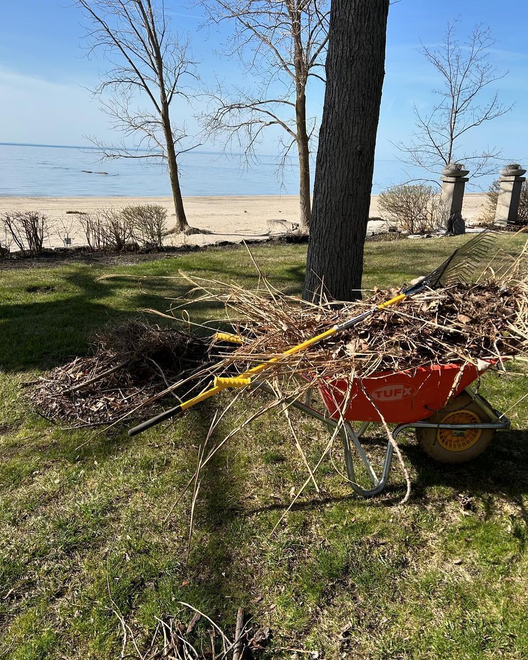 Wheelbarrow full of yard debris on a grassy lakeside shore with bare trees and a sandy beach.