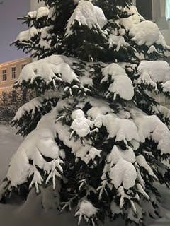 Belarus Women Christmas