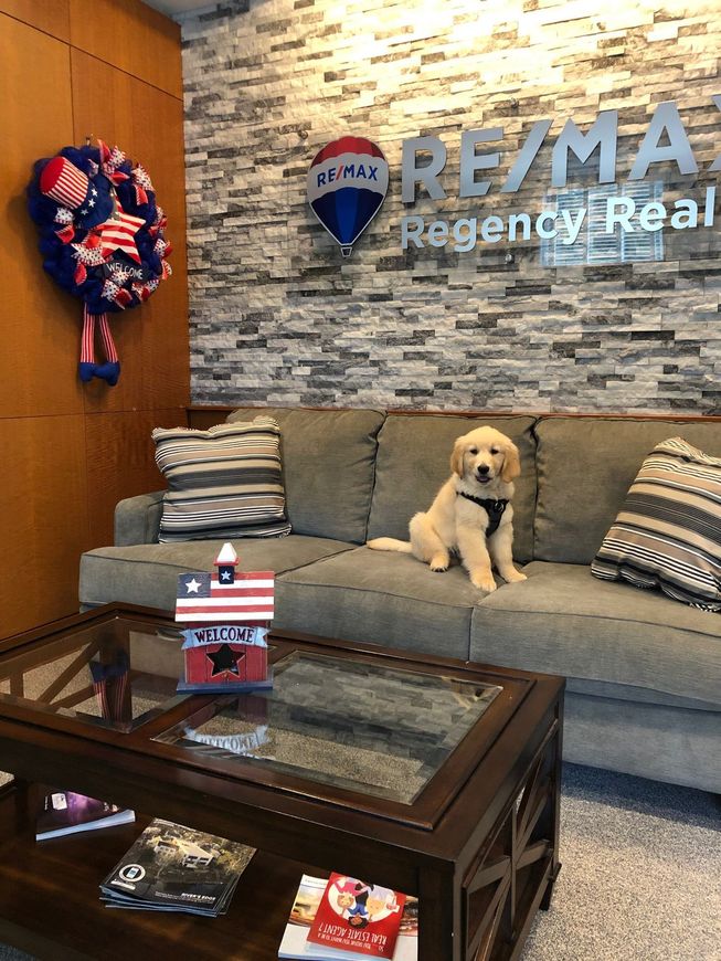 A golden retriever puppy sits on a couch in a RE/MAX office, next to pillows and a decorative patriotic wreath.