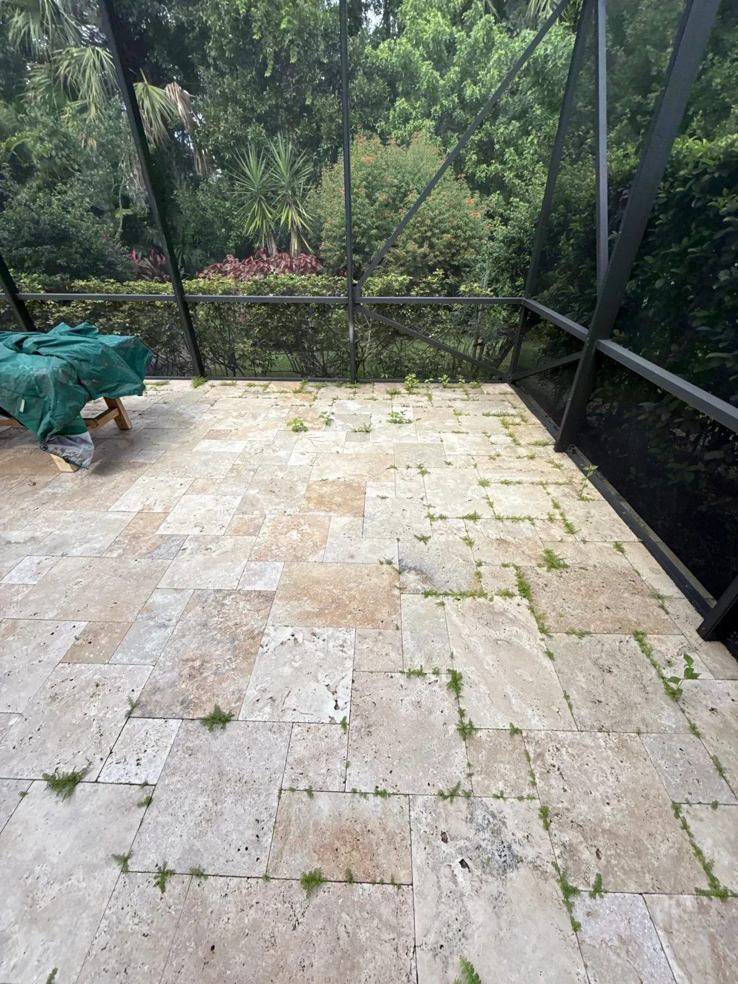 Empty stone patio with a black screened enclosure and green garden beyond