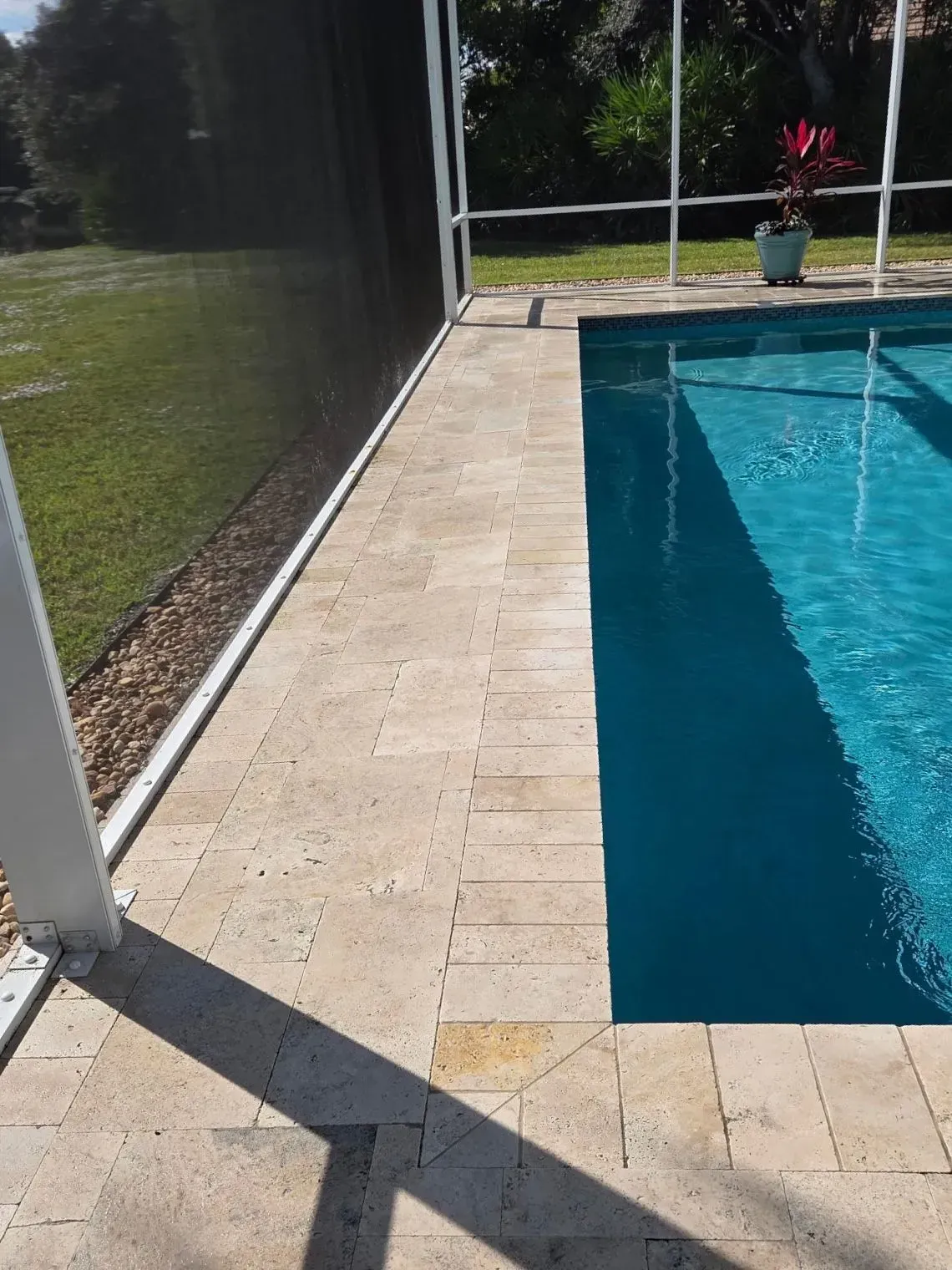 Backyard pool with tiled walkway, turquoise water, and a grassy lawn beside a black privacy fence