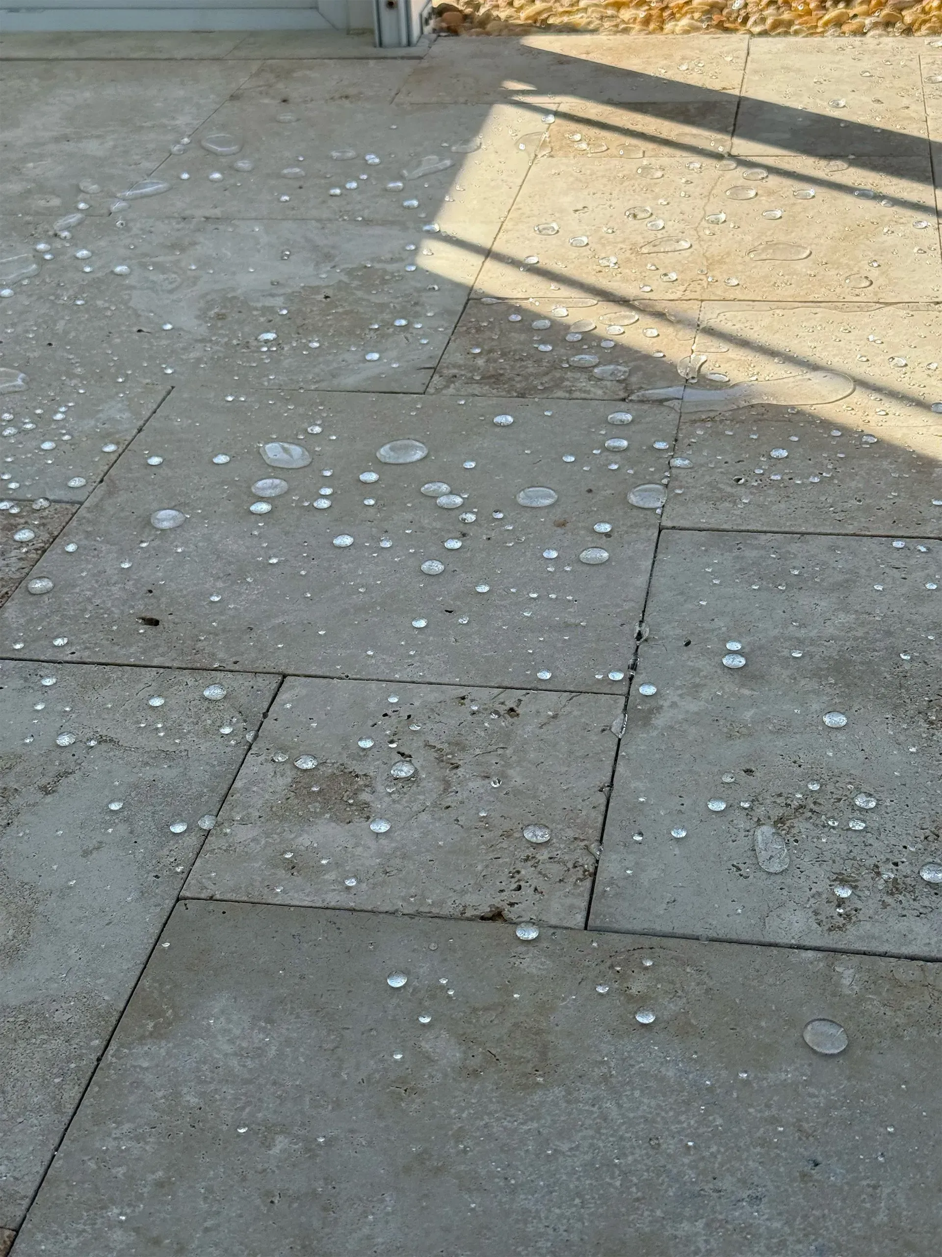 Concrete patio with scattered white spots and a sunlit rectangular shadow.