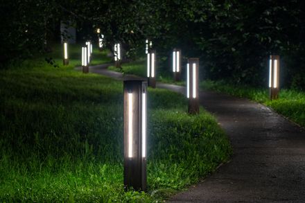 Lit pathway through grass at night, lined with glowing white lamp posts.