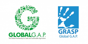 Loghi GLOBALG.AP e GRASP in verde e blu su sfondo bianco