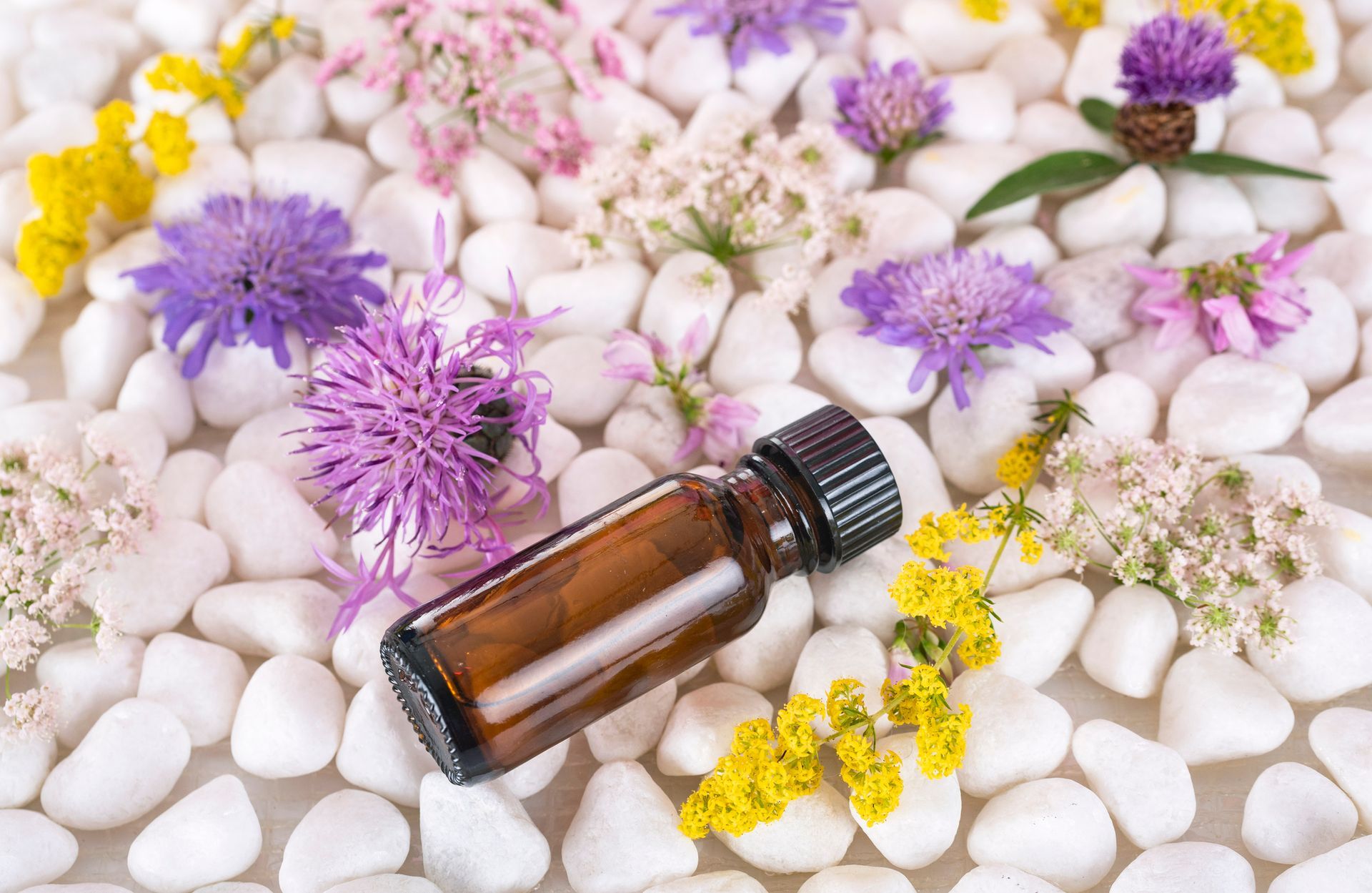 Una boccetta di olio essenziale color ambra circondata da ciottoli di fiume bianchi, fiordalisi viola e fiori gialli.
