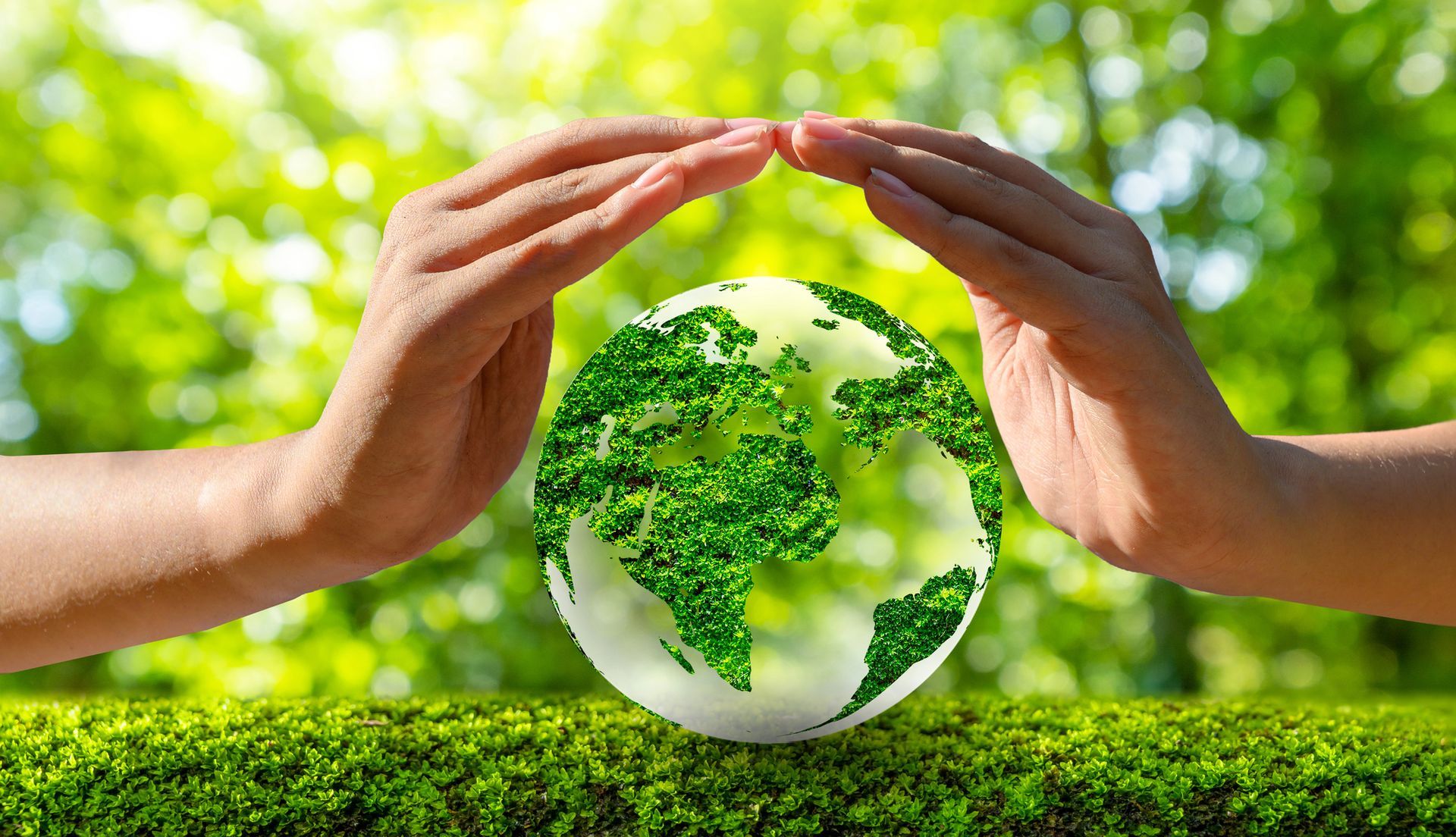 Due mani che avvolgono delicatamente un globo ricoperto di fogliame verde, sullo sfondo sfocato di una natura di un verde brillante.
